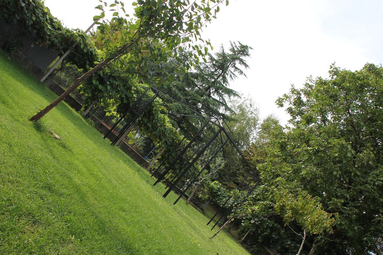 Casa Pellis Bed & Breakfast Fagagna Bagian luar foto